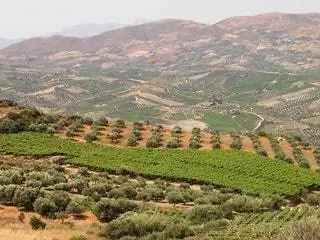 Это изображение может содержать Пейзаж на открытом воздухе Природа Пейзаж Сельская местность и вид с воздуха