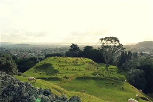 One Tree Hill Окленд Новая Зеландия. Пастбища На открытом воздухе Поле Природа Сельская местность Насыпь Приключения Активный отдых