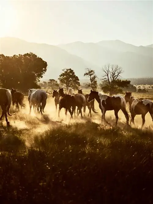 Cond Nast Traveler Сентябрь 2018 Журнал Ranchlands