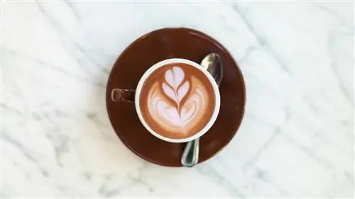 16 лучших кофеен в Сан-Франциско