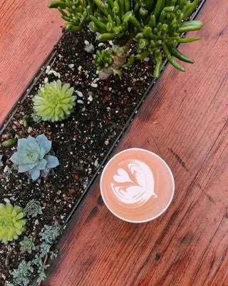 Кофейня Сан-Франциско Caf Equator Coffee Teas