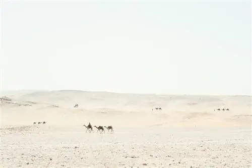 Cond Nast Traveler Magazine ЯнварьФевраль 2020 Египет