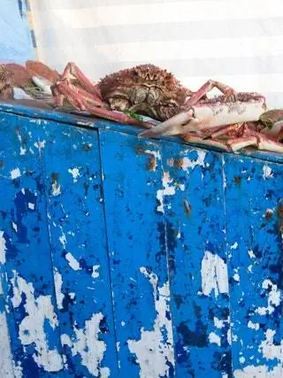 На этом изображении могут находиться животные Морская жизнь Морепродукты Еда Омары Краб Камчатский краб и беспозвоночные