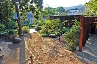 Кейптаун Южная Африка Чем заняться Company's Garden