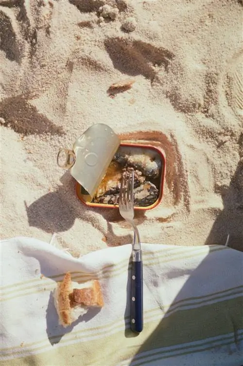 Сардины на пляже