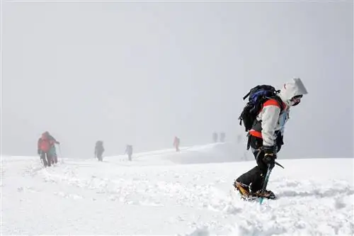 Альпинисты приближаются к вершине горы Сток Кангри в Ладакхе, Индия.