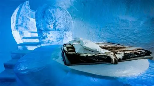 Видео: Взгляд изнутри Icehotel 365 в Швеции