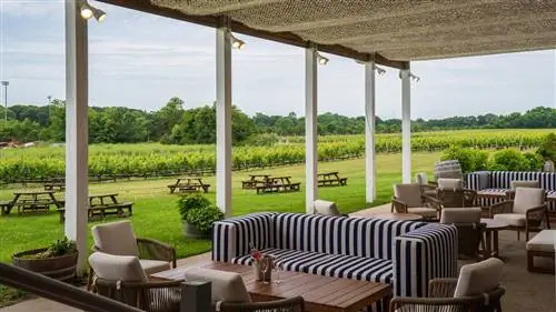 Что нового на Норт-Форк и Шелтер-Айленд: от стильных дегустационных залов до отелей на набережной