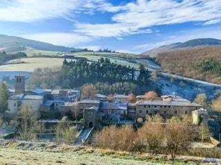На изображении может находиться природа на улице дерево растение пихта Abies пейзажи земля и растительность