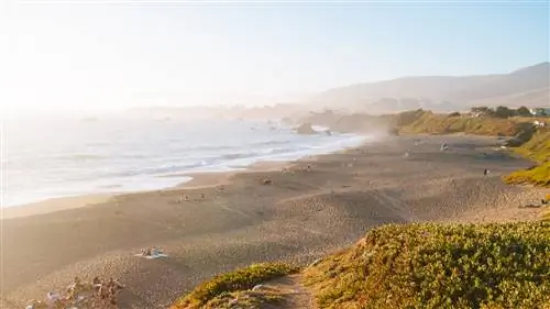 Как новое поколение ресторанов позиционирует Соному как место для гурманов