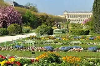 Jardin des Plants Париж Сад Франция Цветы