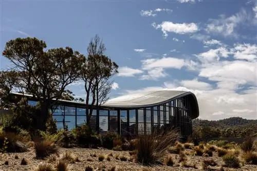 Саффир Фрейсине