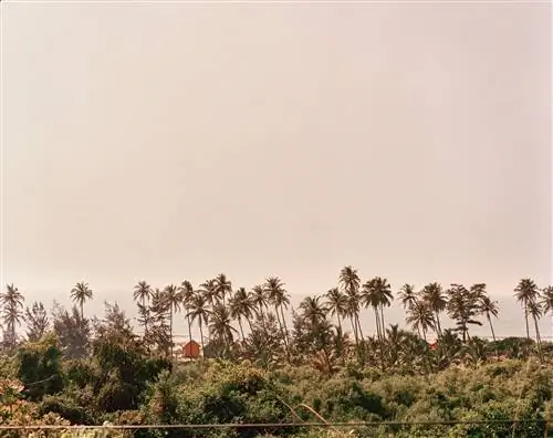 Журнал Cond Nast Traveller, апрель 2019 г. Renegade Master Goa.