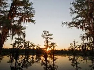 На изображении может находиться природа на улице Земля вода дерево растение солнечный свет красное небо рассвет небо сумерки закат свет и блики