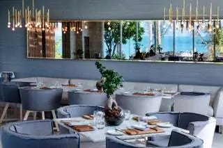 Франгипани Абу-Даби