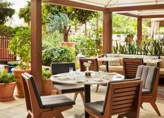 Альба Террас Абу-Даби