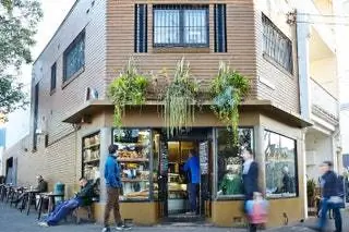 Sydney Coffee Caf Bourke Street Bakery