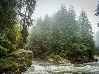 На изображении может находиться Вода Природа На улице Человек Растение Дерево Пихта Abies Stream Creek and River
