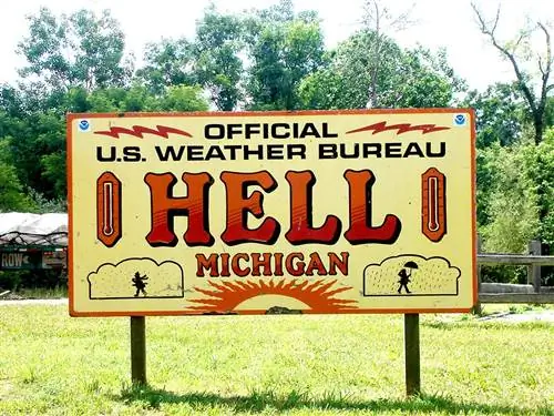 Это изображение может содержать рекламу и рекламный щит символа растения растительности Буша