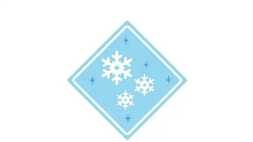 Благодаря Polar Vortex отменено более 8000 рейсов