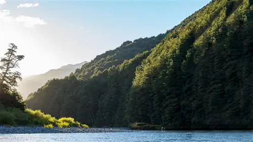 Рыбалка нахлыстом получает резкую перезагрузку