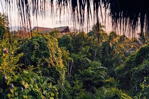 Журнал Cond Nast Traveler, ноябрь 2019 г. Throw a Curve Colombia