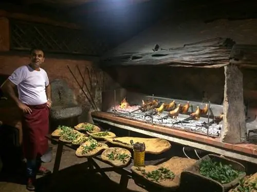 На изображении может находиться человек, животное, еда и еда для птиц