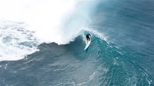 Что взять с собой на Гавайи