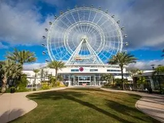 Это изображение может содержать растение и траву в парке развлечений «Колесо обозрения».