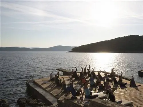 На изображении может находиться вода на улице природа животное птица набережная человек и человек