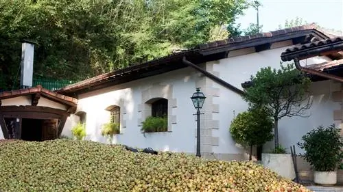 На сидровой тропе в Стране Басков в Испании