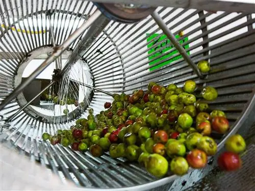 На изображении может находиться растение и еда