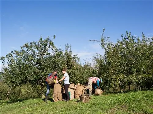 На изображении может находиться человек на улице сад природа рабочий сельская местность и поле