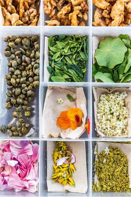 Журнал Cond Nast Traveller, март 2019 г., Shape Shifter, Ла-Пас