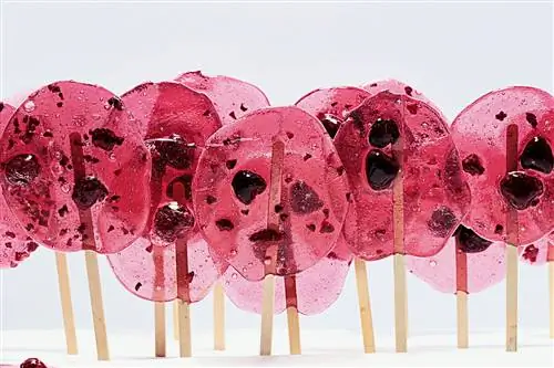 Журнал Cond Nast Traveller, март 2019 г. Подвижные праздники Самые влиятельные повара планеты рассказывают о своих любимых блюдах