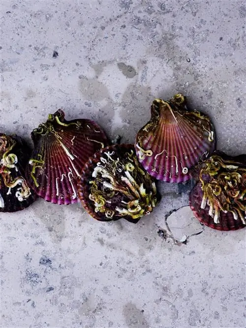 Журнал Cond Nast Traveller, март 2019 г. Подвижные праздники Самые влиятельные повара планеты рассказывают о своих любимых блюдах