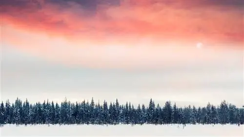 В погоне за зимой в Лапландии, Финляндия