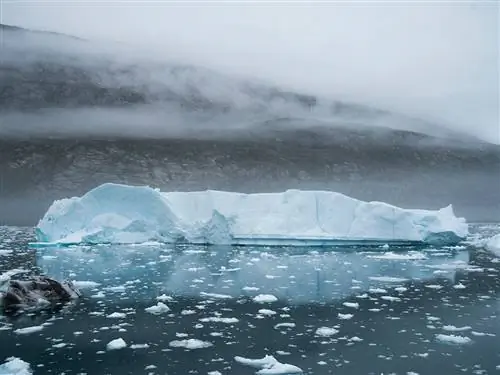 Это изображение может содержать Природа Лед На открытом воздухе Гора Снег Ледник Айсберг Птицы и животные