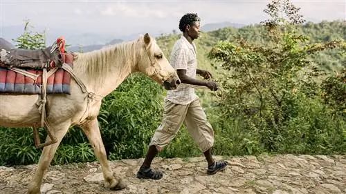 Посещение Гаити: страна, о которой пишут в заголовках