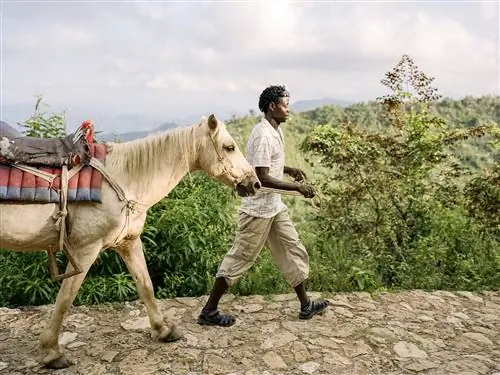 Это изображение может содержать Человека Животное Млекопитающее Лошадь Обувь для верховой езды Одежда Одежда Обувь и на открытом воздухе