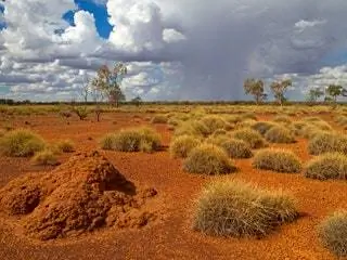 На изображении может находиться природа на открытом воздухе земля поле пастбища погода и пустыня