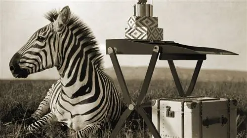 Собираетесь в отпуск? Принесите свою собственную мебель