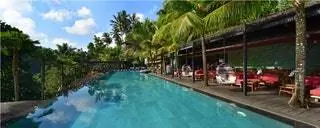 Индонезия Бали Бар Рыба в джунглях