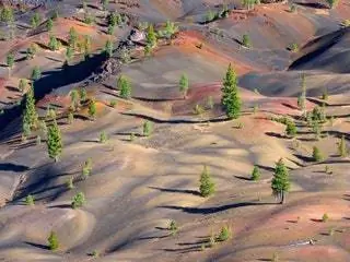 На изображении может находиться пейзаж на улице природа пейзаж почва песок дерево растение вид с воздуха дюна и панорама
