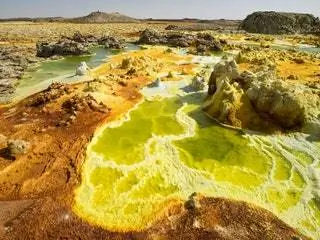 На изображении могут находиться растения и водоросли