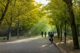 Парк Вонделпарк Амстердам Нидерланды