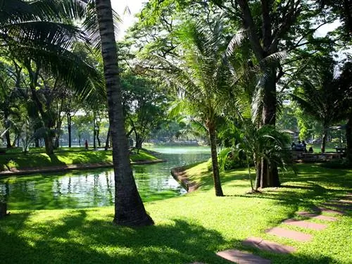 На изображении может находиться сад беседка на открытом воздухе трава растение животное птица и дерево