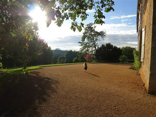 Это изображение может содержать гравийную дорогу, грунтовую дорогу, световое поле, вспышку, поле на открытом воздухе, дерево, растение, землю и солнечный свет.