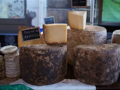 На изображении может находиться еда и бри