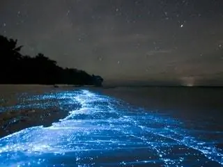 На изображении может находиться Природа На улице Вода Океан Море Ночь Вселенная Космос Астрономия Космос Береговая линия и побережье